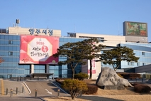 양주시, 수소전기차 보급사업 본격 추진…넥쏘 19대